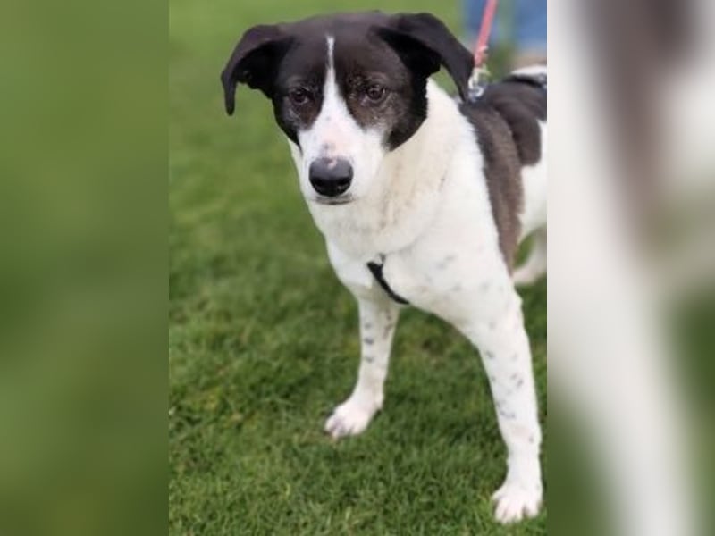 Sonnenschein Samantha wartet in 71522 Backnang