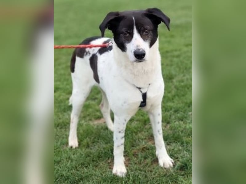 Sonnenschein Samantha wartet in 71522 Backnang