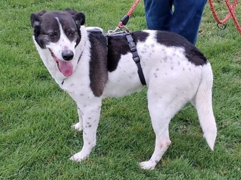 Sonnenschein Samantha wartet in 71522 Backnang