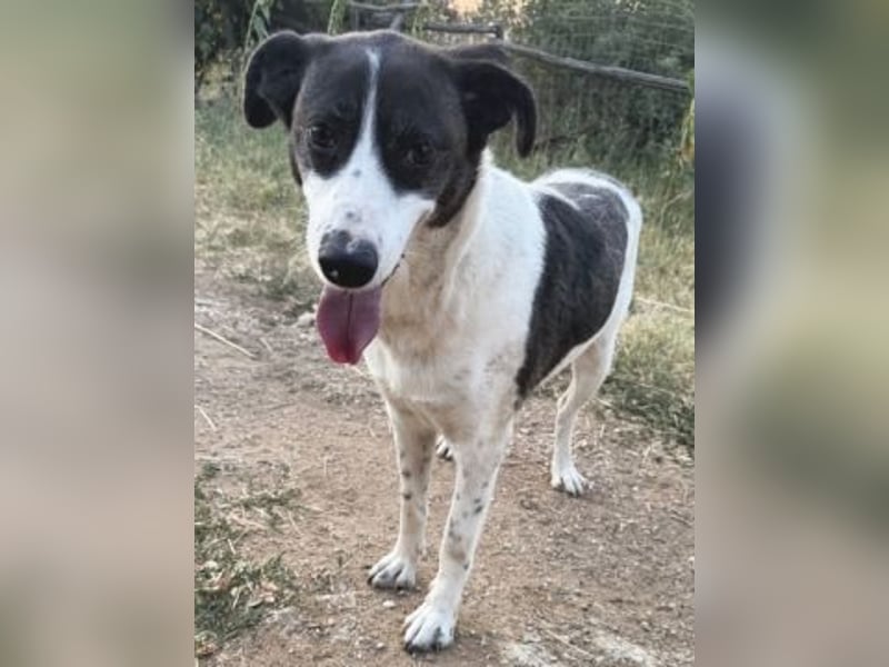 Sonnenschein Samantha wartet in 71522 Backnang