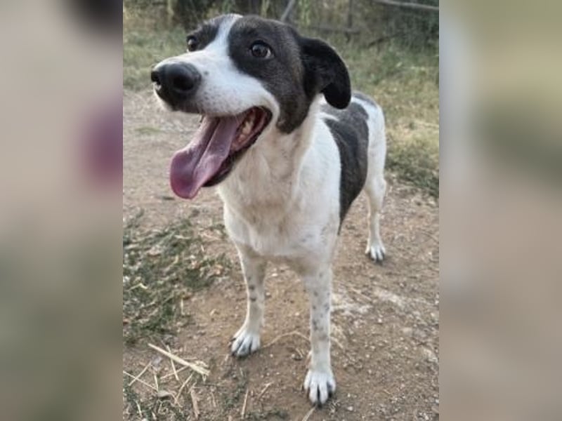 Sonnenschein Samantha wartet in 71522 Backnang