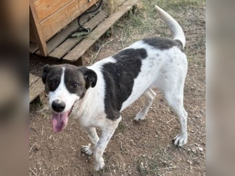 Sonnenschein Samantha wartet in 71522 Backnang