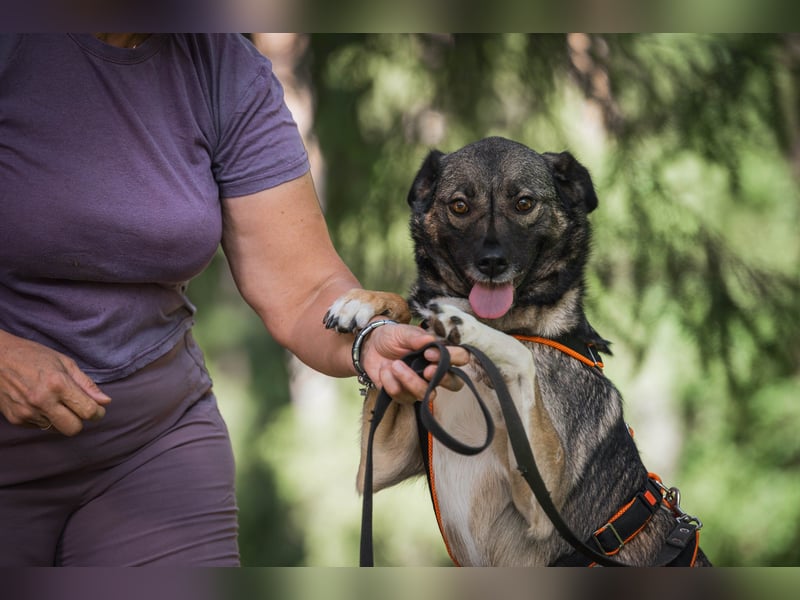 Treue NASTYA sucht treue Menschen