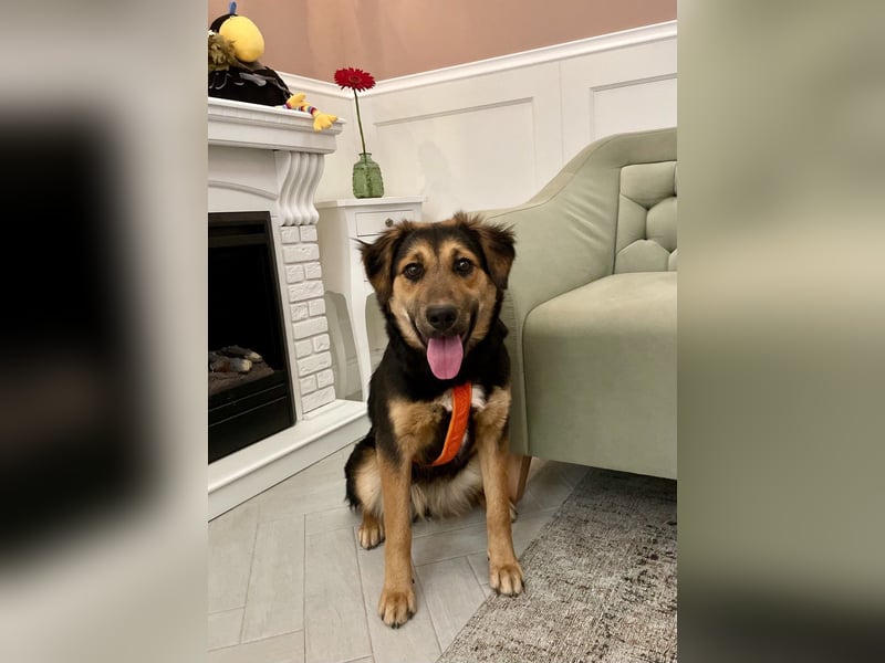 Neugierige ALMA möchte eine Familie finden