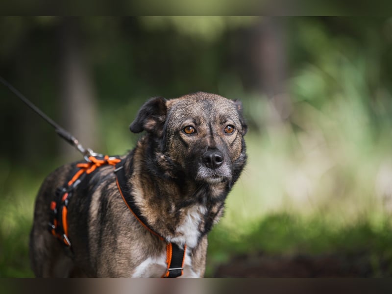 Treue NASTYA sucht treue Menschen