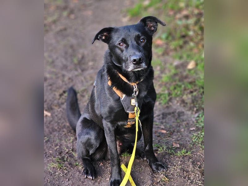 Fiete – klug, mutig und freundlich