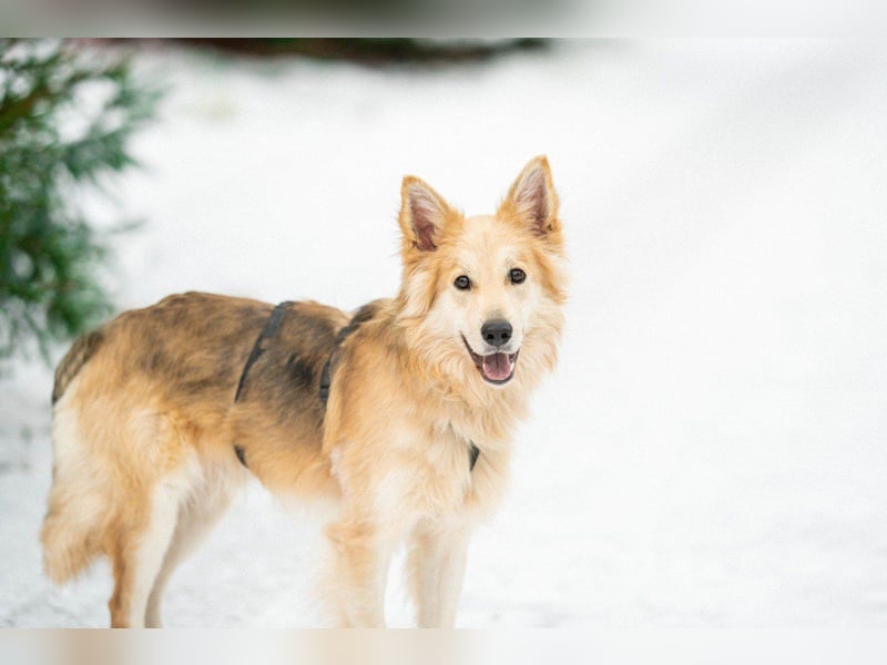 Hübscher RICH möchte ländlich wohnen