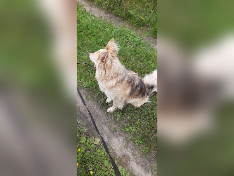 Hübscher RICH möchte ländlich wohnen