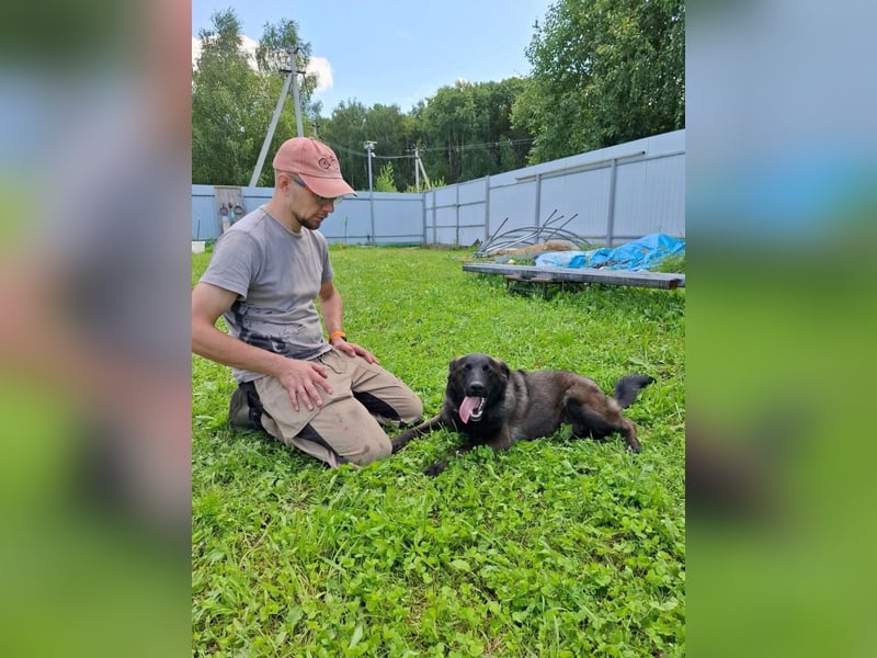 Braver MISHKA sucht ein Zuhause