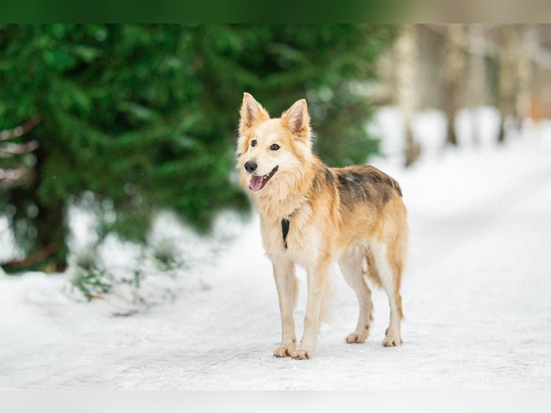 Hübscher RICH möchte ländlich wohnen