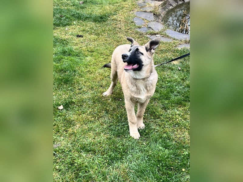 Cooler BOOMER wird ein guter Freund