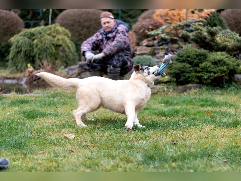 Lebenslustige JOSIE sucht eine aktive Familie
