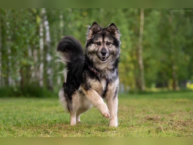 Wuschelige FREYA sucht ein schönes Zuhause
