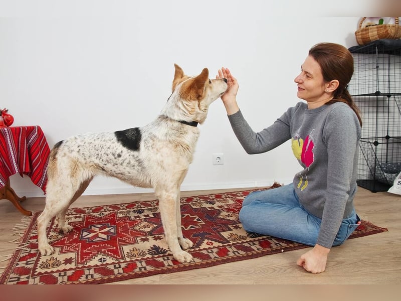 Feine SERAFIMA sucht ihre Familie