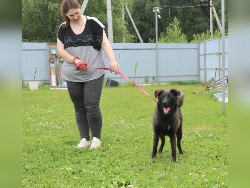 Braver MISHKA sucht ein Zuhause