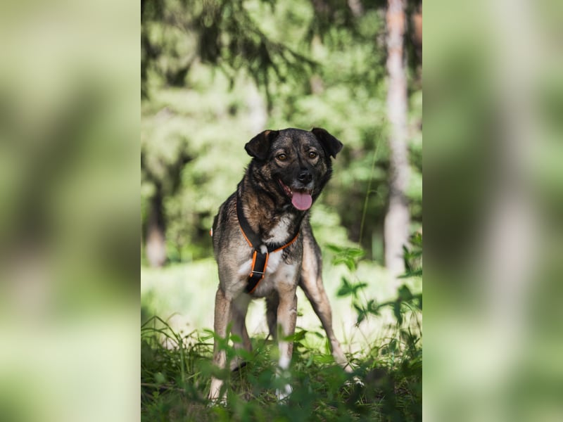 Treue NASTYA sucht treue Menschen