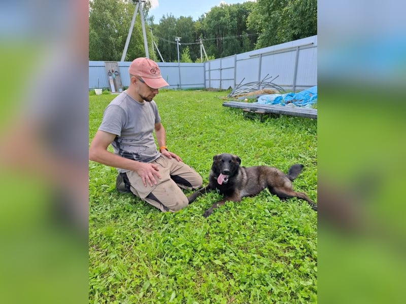 Braver MISHKA sucht ein Zuhause