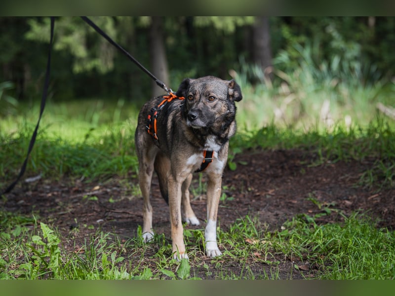 Treue NASTYA sucht treue Menschen