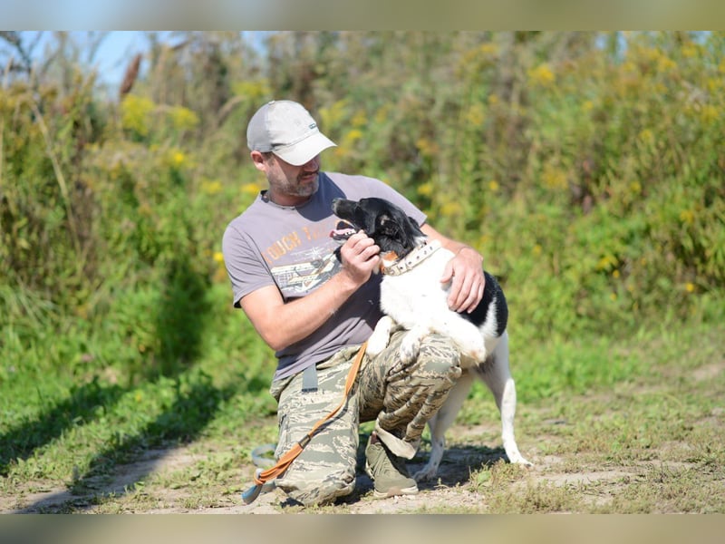 Niedliche ZOYA sucht ein liebevolles Zuhause Niedliche ZOYA sucht ein liebevolles Zuhause