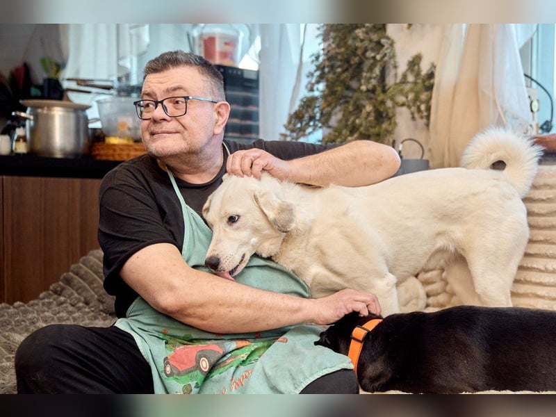 Schneeweiße LUNA sucht eine liebevolle Familie