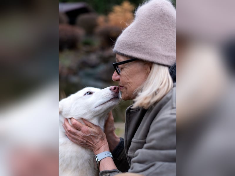 Bescheidene NURIKA sucht eine Familie