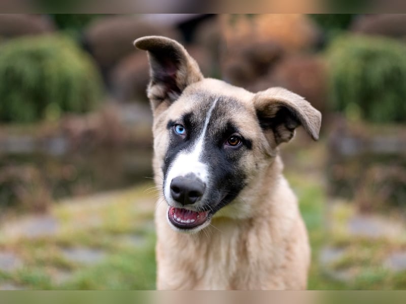 Cooler BOOMER wird ein guter Freund