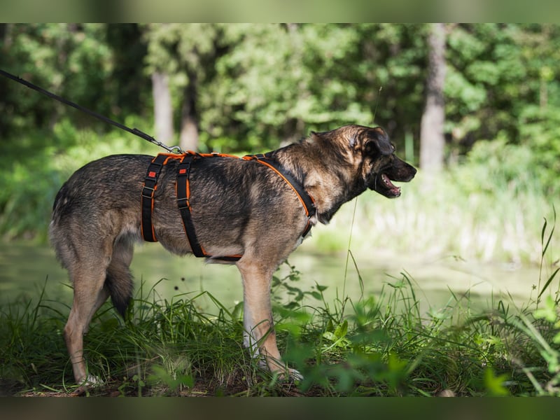 Treue NASTYA sucht treue Menschen