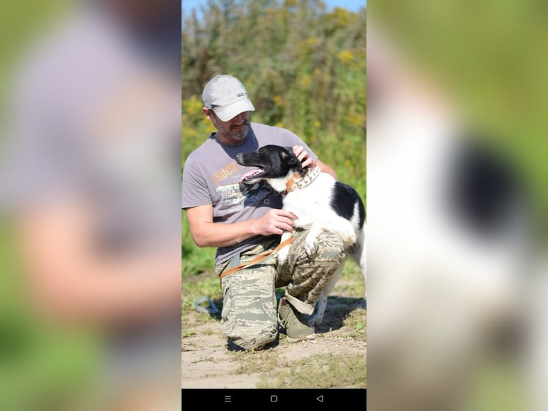 Niedliche ZOYA sucht ein liebevolles Zuhause Niedliche ZOYA sucht ein liebevolles Zuhause