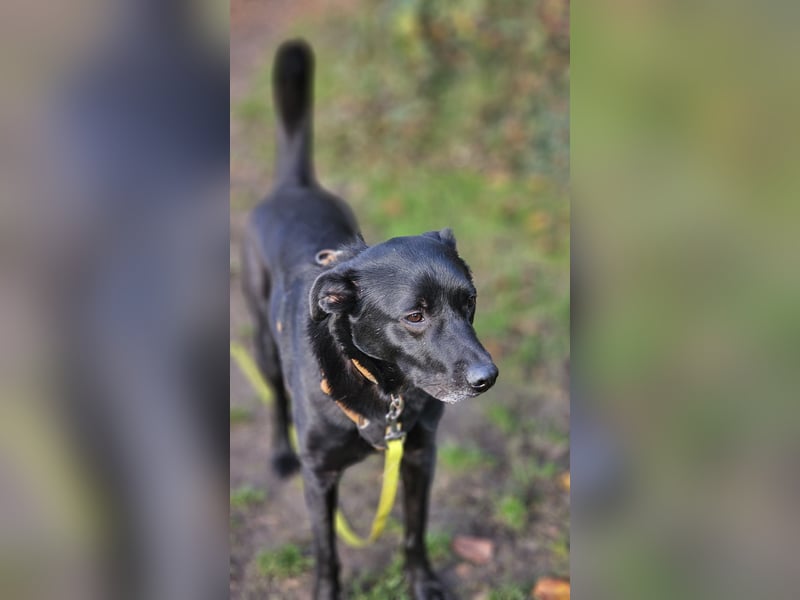 Fiete – klug, mutig und freundlich