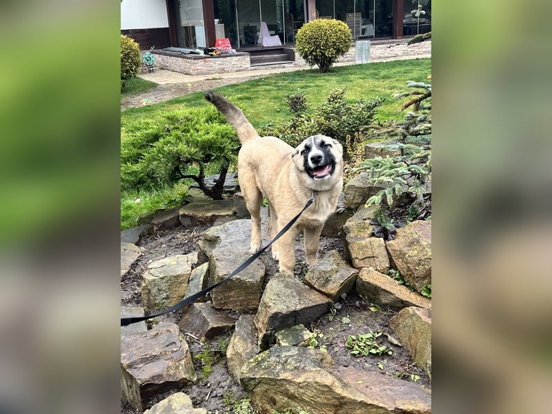 Cooler BOOMER wird ein guter Freund