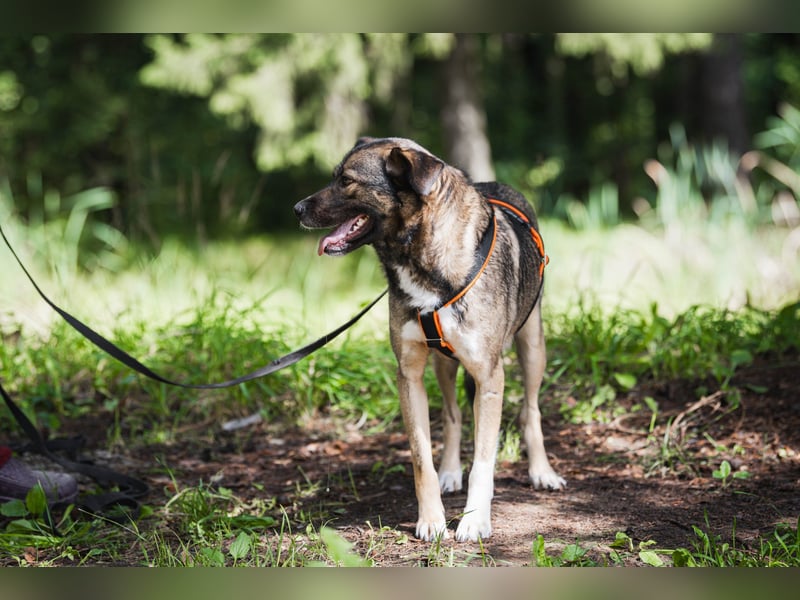 Treue NASTYA sucht treue Menschen