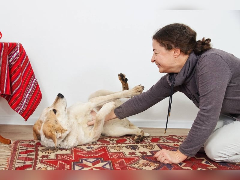 Feine SERAFIMA sucht ihre Familie
