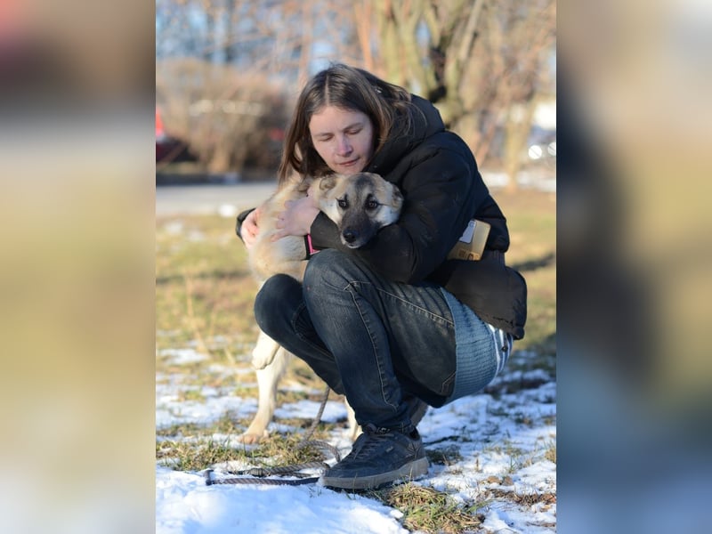 Nachdenkliche Arina ist für ruhige Menschen