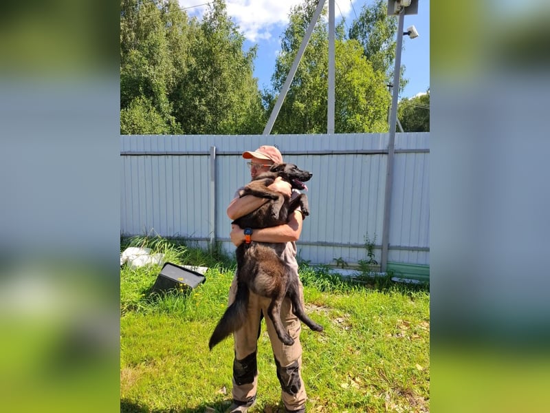 Braver MISHKA sucht ein Zuhause