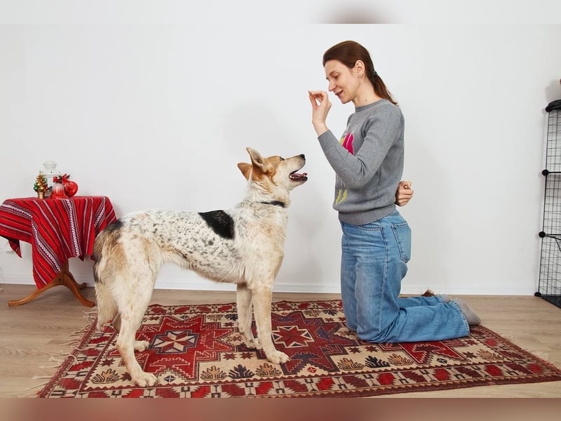 Feine SERAFIMA sucht ihre Familie