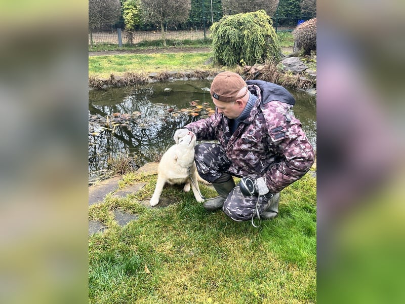 Bescheidene NURIKA sucht eine Familie