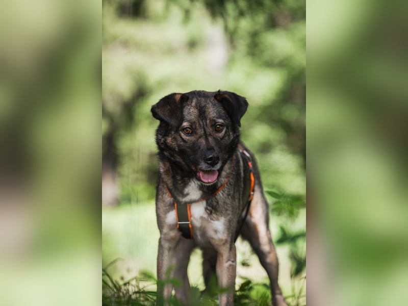 Treue NASTYA sucht treue Menschen