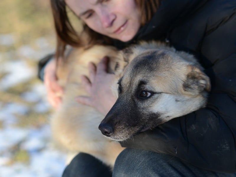 Nachdenkliche Arina ist für ruhige Menschen
