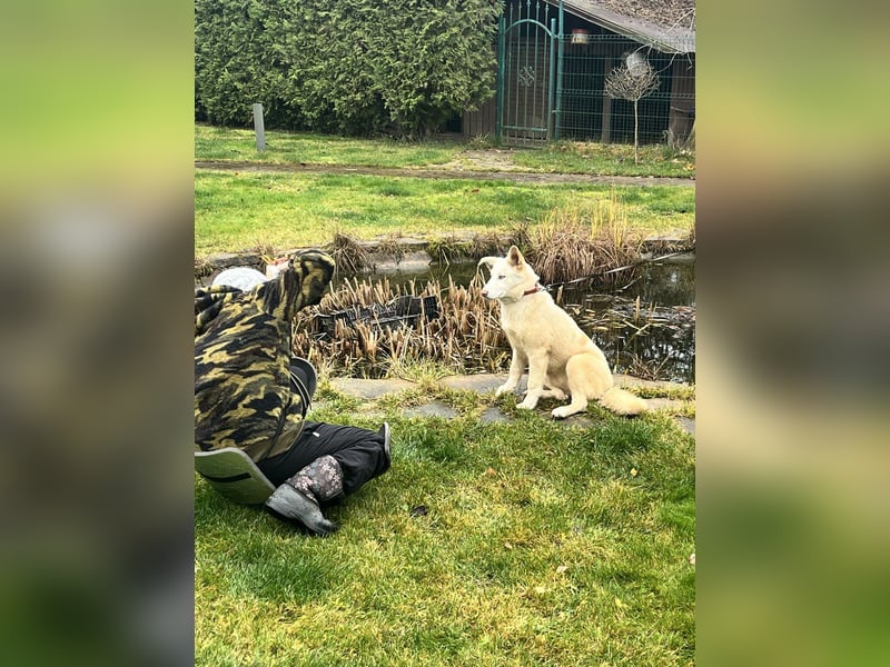 Bescheidene NURIKA sucht eine Familie