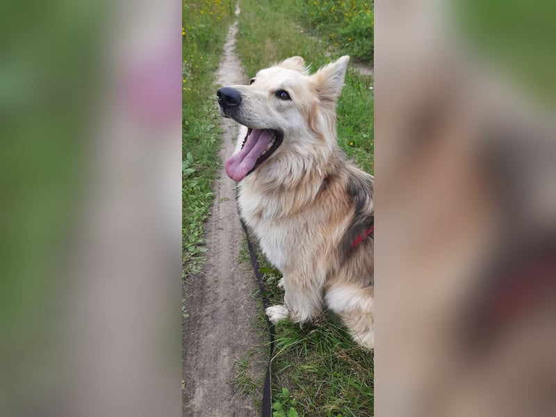 Hübscher RICH möchte ländlich wohnen