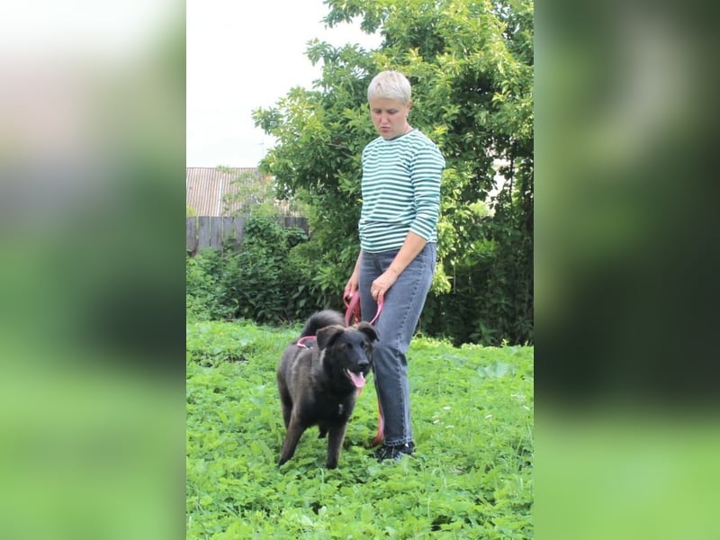 Braver MISHKA sucht ein Zuhause