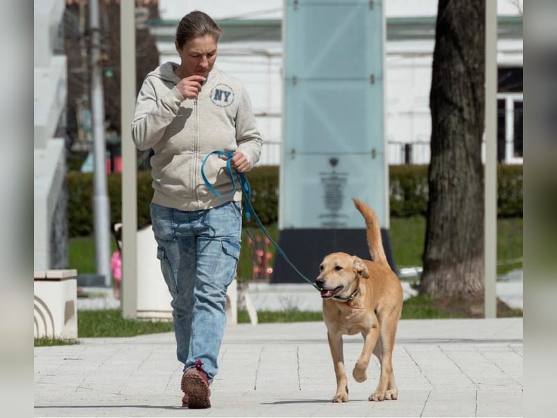 Ausgeglichener OKAMI sucht Familie