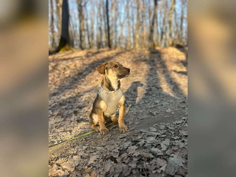 Goldige Burita will eine eigene Familie