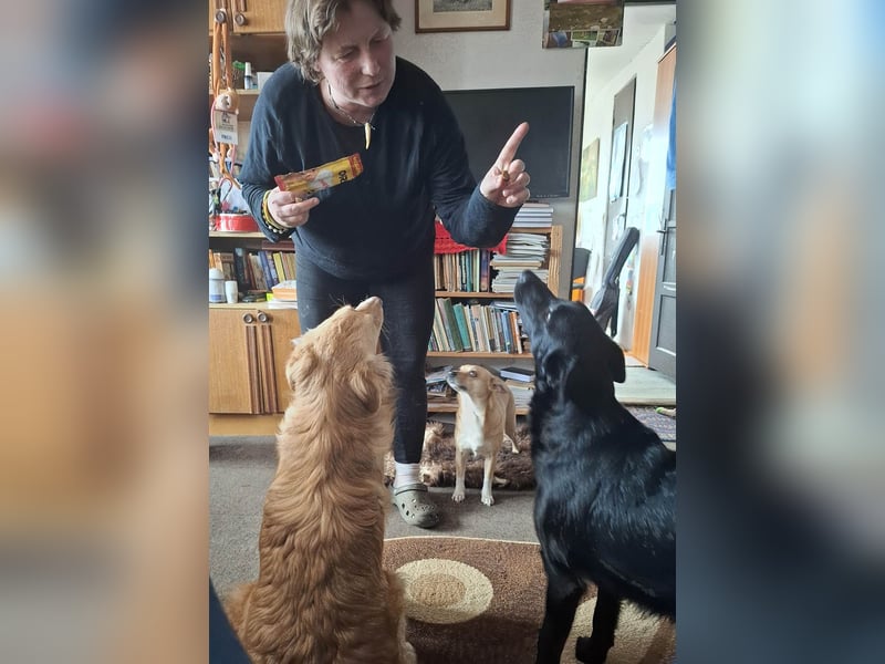 Hübsche Margo sucht ihr Körbchen