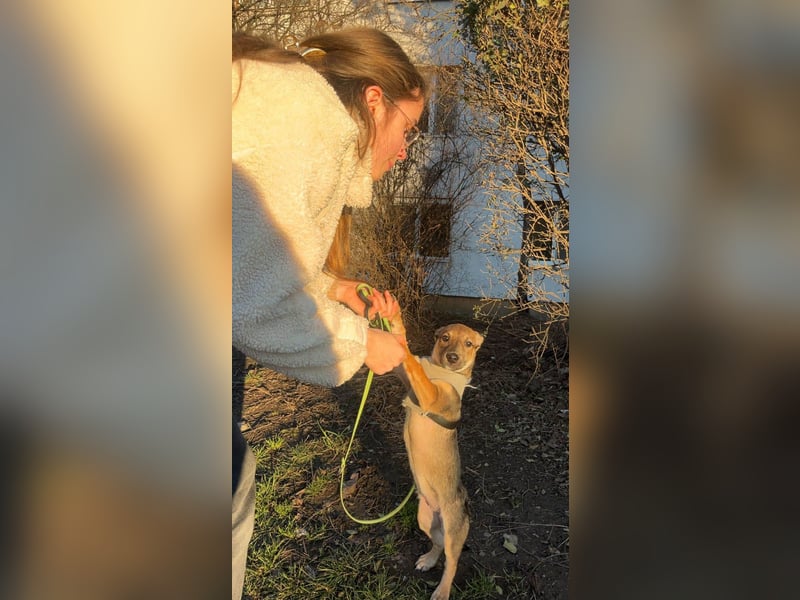 Goldige Burita will eine eigene Familie