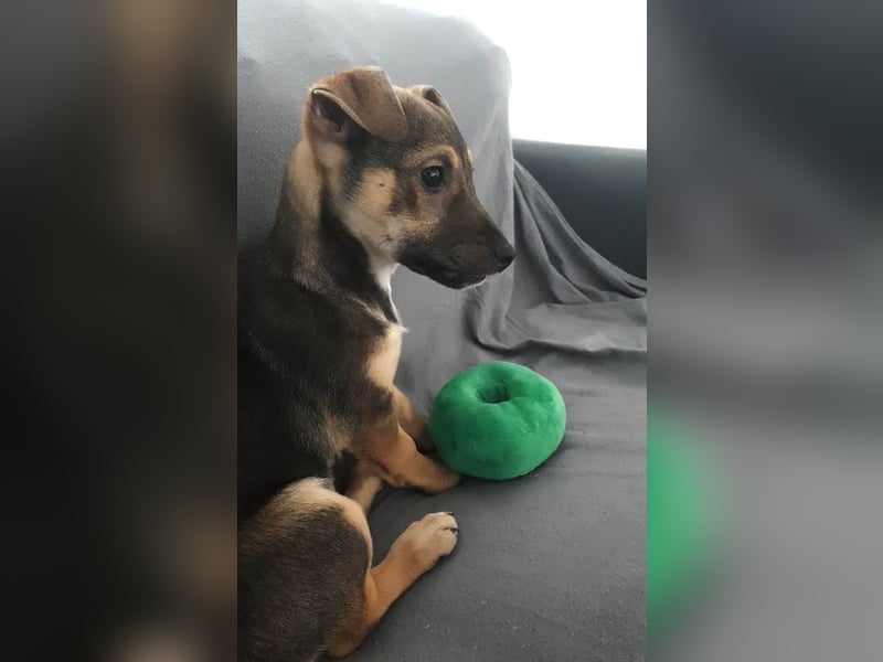 Goldige Burita will eine eigene Familie