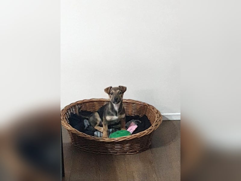 Goldige Burita will eine eigene Familie