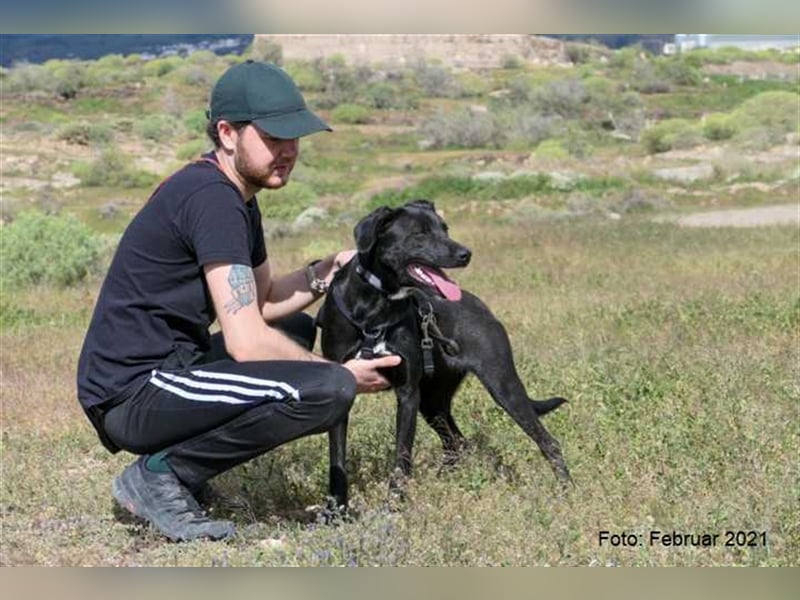 Milow (kastriert, geimpft, gechippt) sucht liebevolles Zuhause