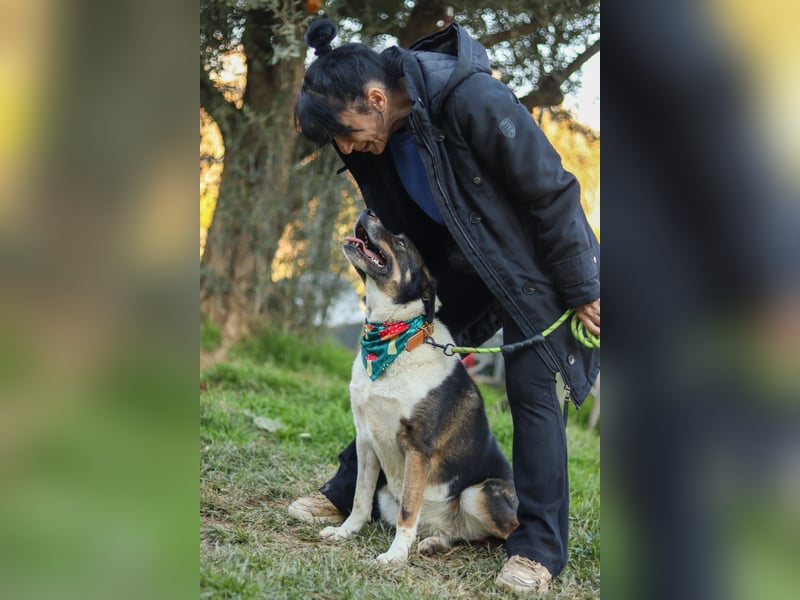 Kyra: liebe Hündin wartet in 50127 Bergheim