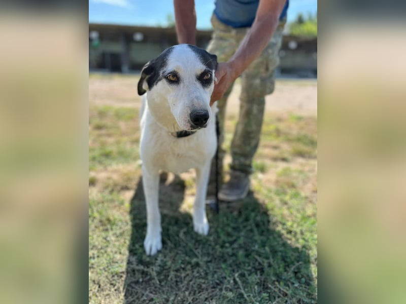 Ich habe noch Hoffnung